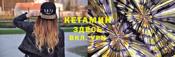 прущие грибы Нефтекумск