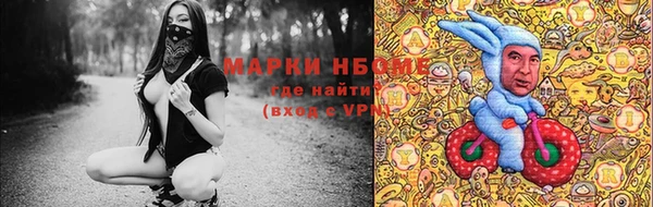 крисы Болхов