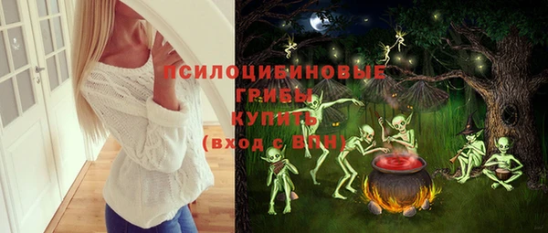 соль ск Наволоки