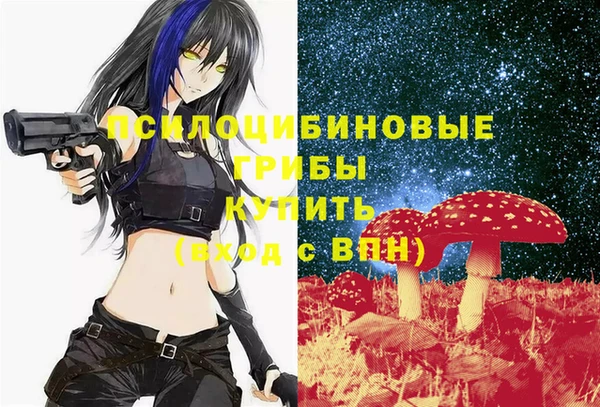 винт Нея
